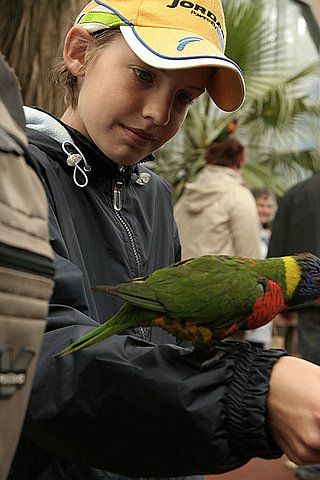 2005 Avifauna (32)